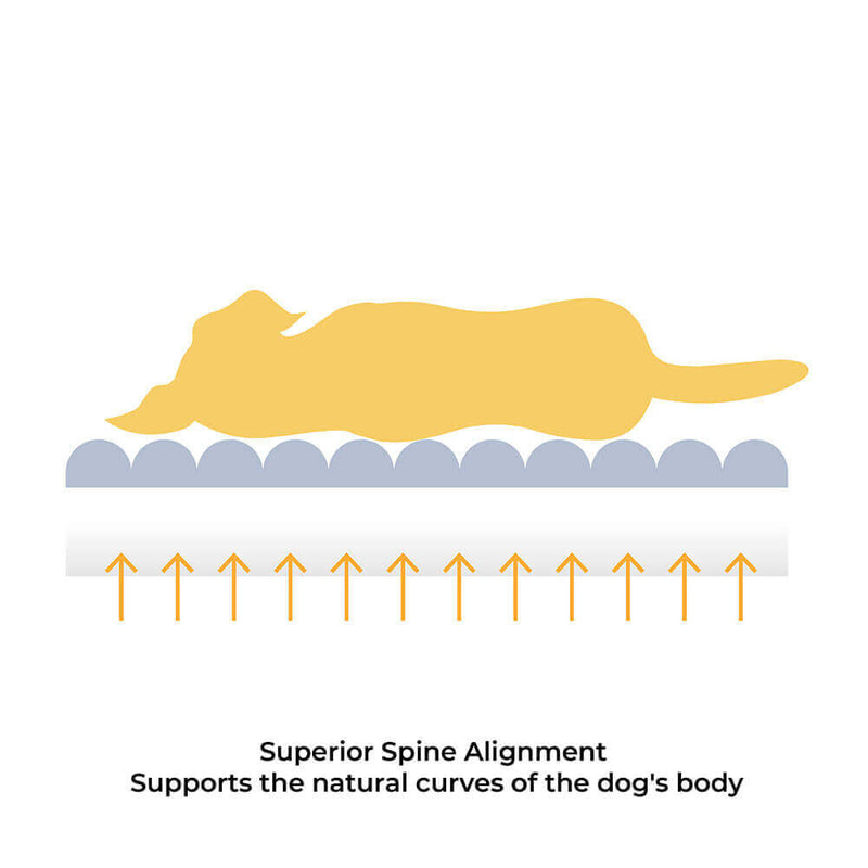 Comfortable Dog Bed - CheesecakeComfort Bed-M-White-State of Style