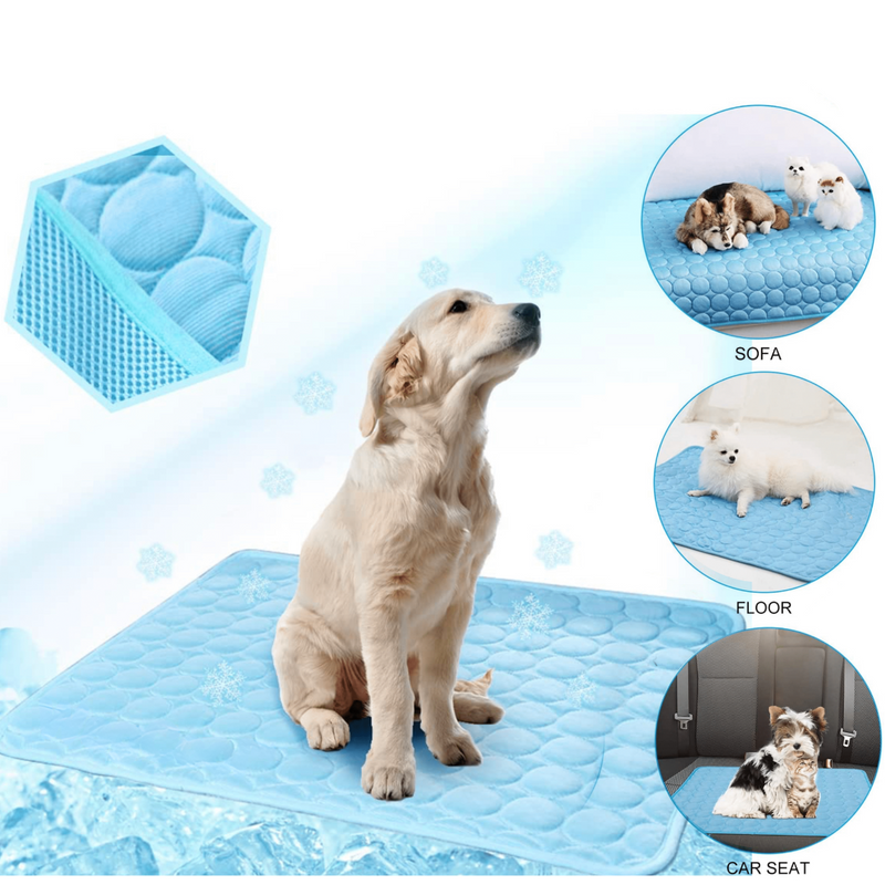 Cooling Dog Mat - CoolPet Mat-XS 40x30 cm-Blue-State of Style