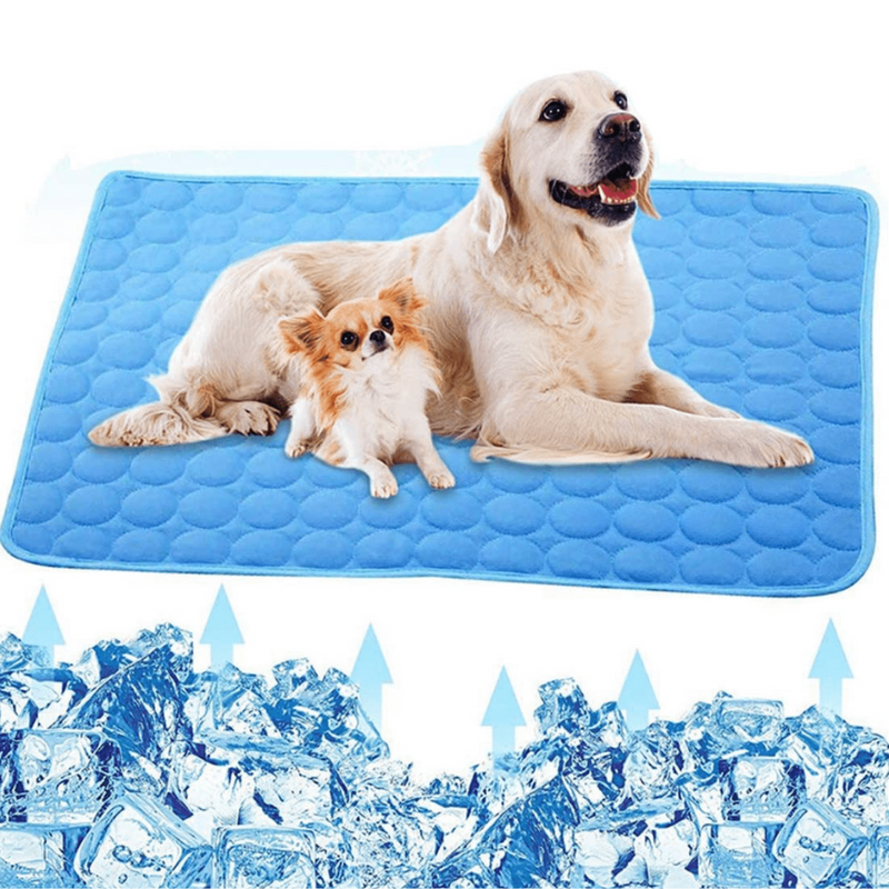 Cooling Dog Mat - CoolPet Mat-XS 40x30 cm-Blue-State of Style