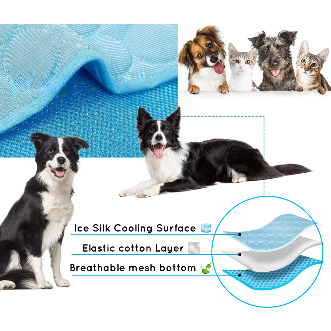 Cooling Dog Mat - CoolPet Mat-XS 40x30 cm-Blue-State of Style