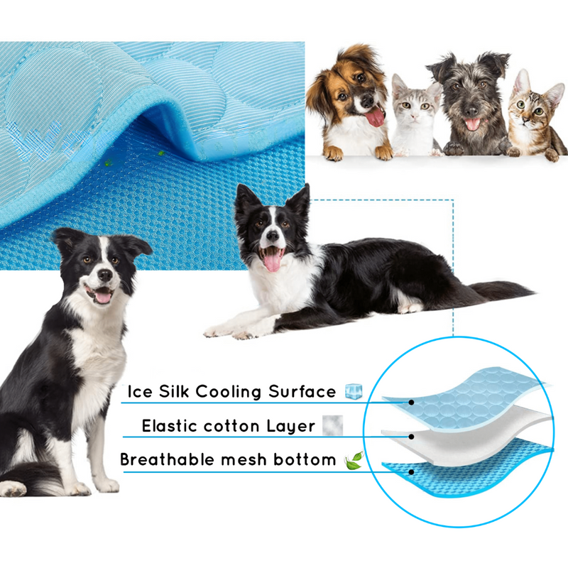 Cooling Dog Mat - CoolPet Mat-XS 40x30 cm-Blue-State of Style