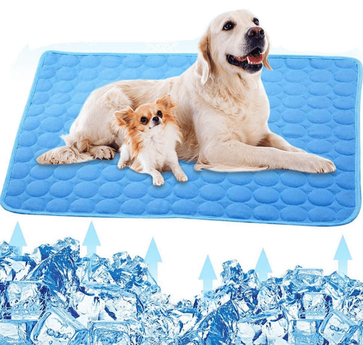 Cooling Dog Mat - CoolPet Mat-XS 40x30 cm-Blue-State of Style