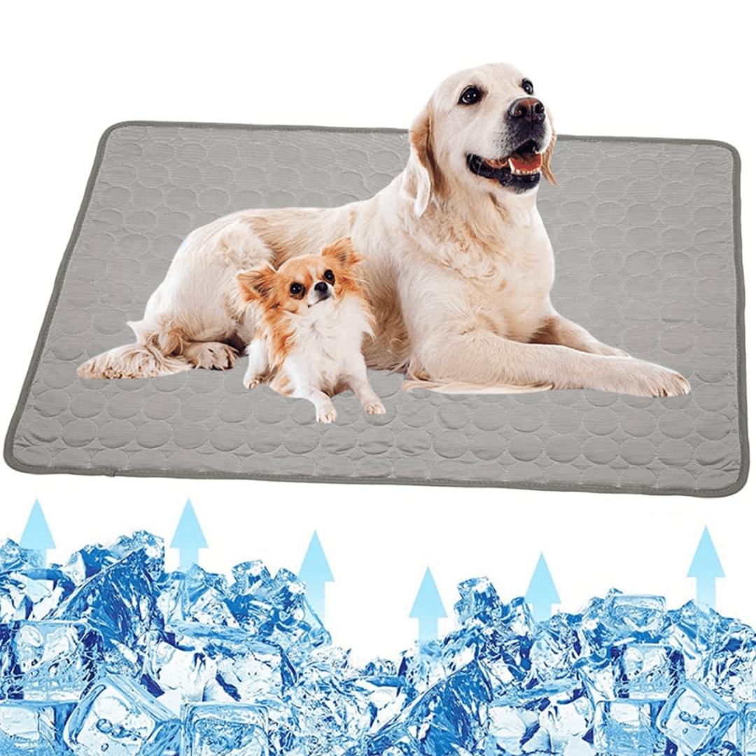 Cooling Dog Mat - CoolPet Mat-XS 40x30 cm-Grey-State of Style