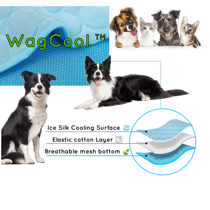 Cooling Dog Mat - CoolPet Mat-XS 40x30cm-Blue-State of Style