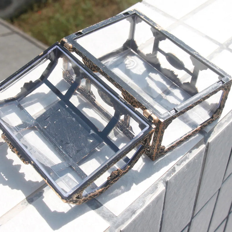 Crystal Pirate Jewellery Box-CHOCOLATE-State of Style