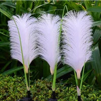 Decorative Wicker Garden Lighting - SunReed-State of Style