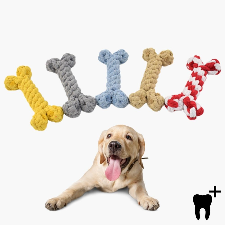 Dental Care Chew Bone for Dogs - CleanChew-Grey-State of Style