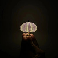 DIY Sea Urchin Night Light - LumiUrchin-State of Style