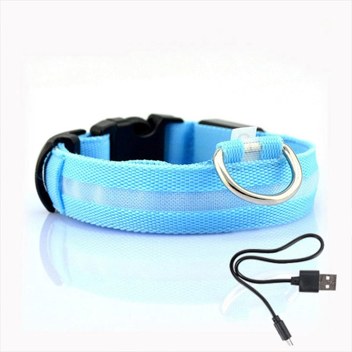 Dog collar with LED lighting - GlowCollar-Blue-XS-State of Style