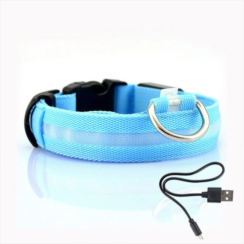 Dog collar with LED lighting - GlowCollar-Blue-XS-State of Style