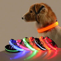 Dog collar with LED lighting - GlowCollar-Red-XS-State of Style