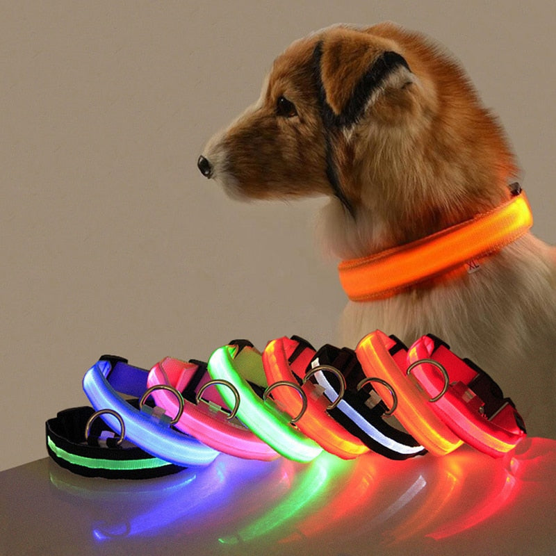 Dog collar with LED lighting - GlowCollar-Red-XS-State of Style