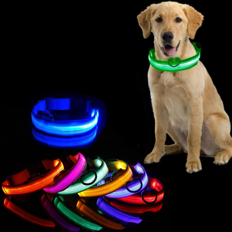 Dog collar with LED lighting - GlowCollar-Yellow-XS-State of Style