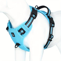 Dog Harness - SafeWalk-Sea Blue-S-State of Style