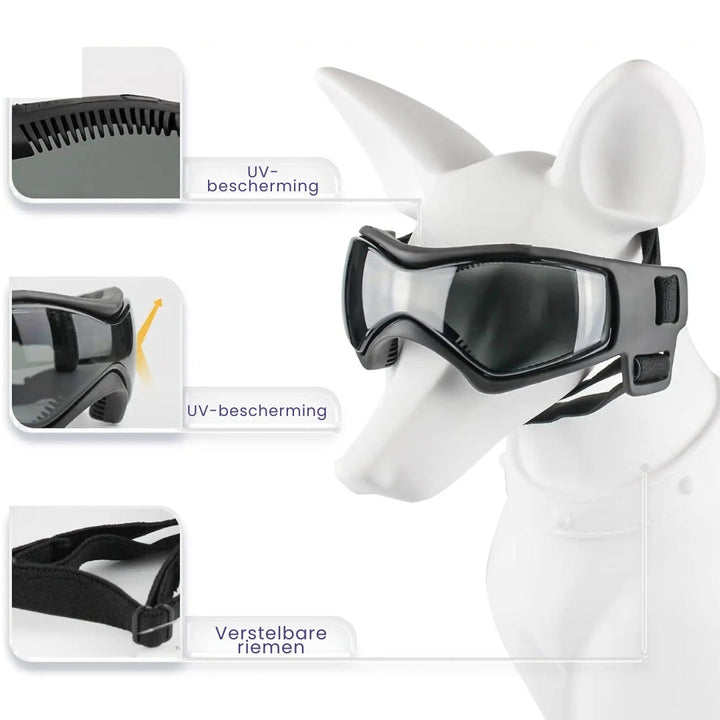 Dog Helmet and Goggles - RiderPaw-Red-S-State of Style