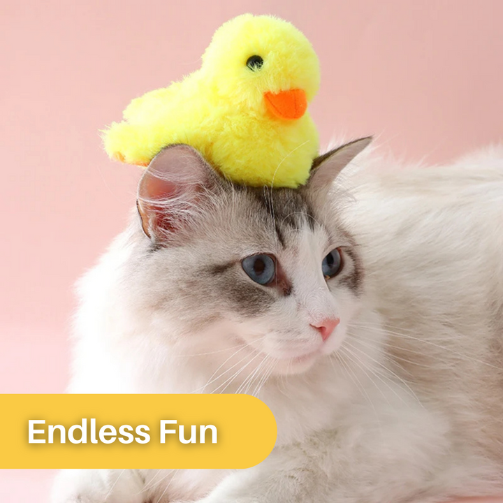 DuckDash™ - Flapping Duck Toy for Cats (Buy 1, Get 1 FREE)-State of Style