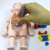 Educational Anatomy Set for Children – Dr. Bones-State of Style