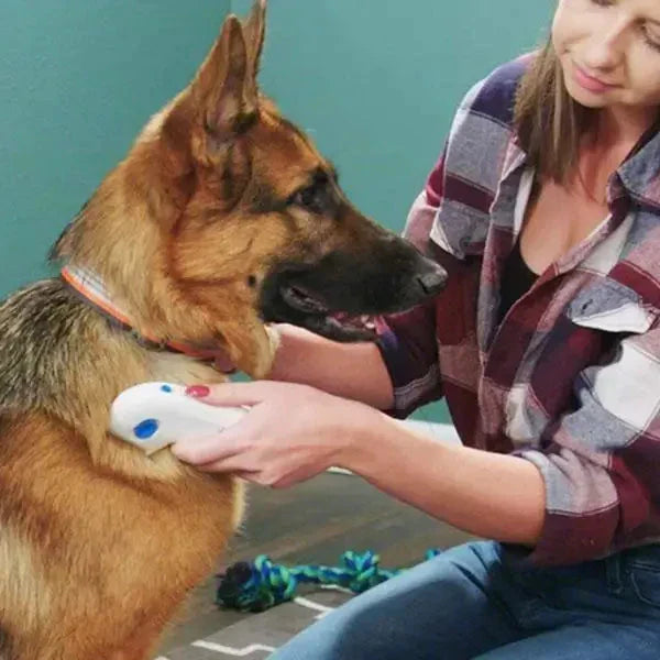 Electric Flea Remover for Pets - FleaZap-State of Style