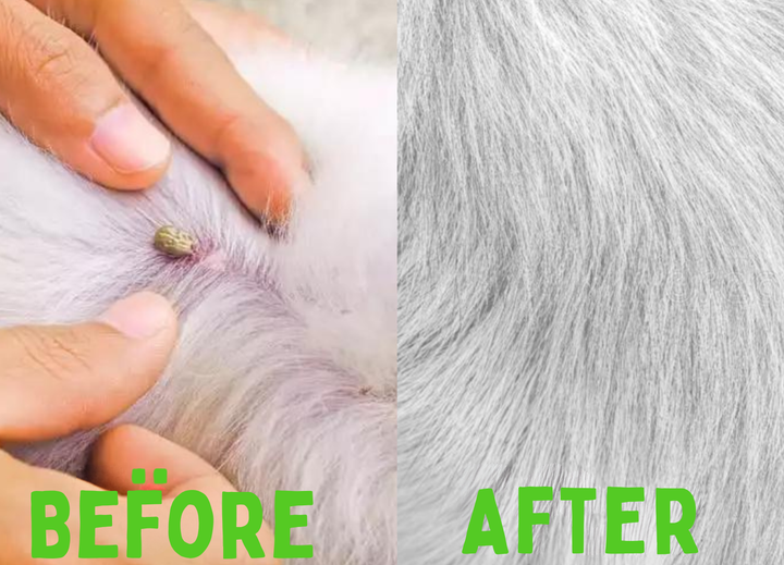 Flea and Tick Collar - FleaGuard-State of Style