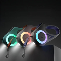 GlowGuard Light-Up Dog Leash with Torch-Orange-State of Style