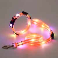 Glowing LED Dog Collar with Leash - NightBright-Orange-State of Style