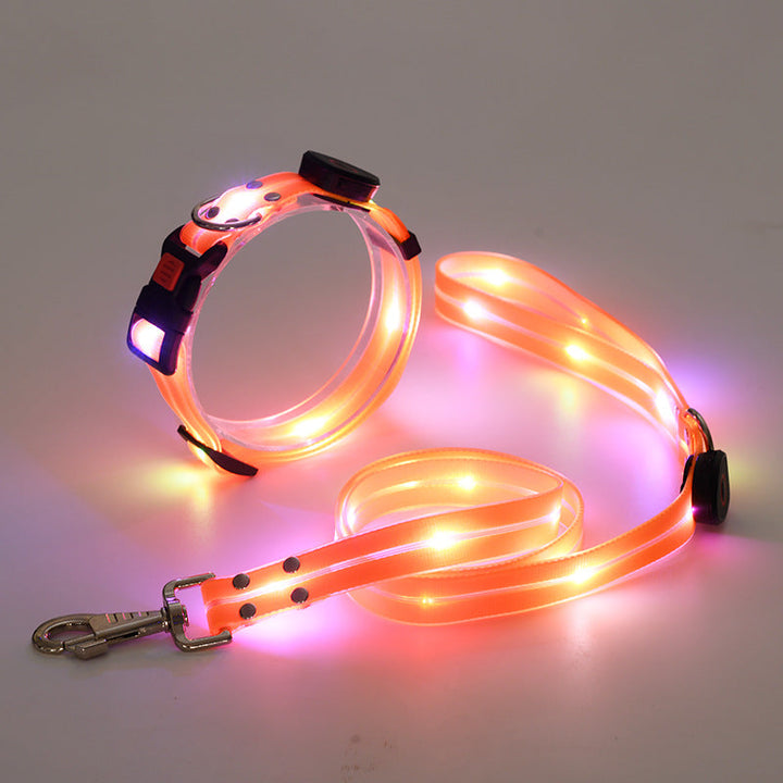 Glowing LED Dog Collar with Leash - NightBright-Orange-State of Style