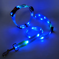 Glowing LED Dog Collar with Leash - NightBright-Yellow-State of Style