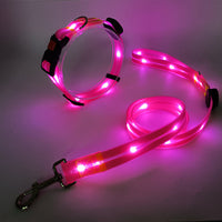 Glowing LED Dog Collar with Leash - NightBright-Yellow-State of Style