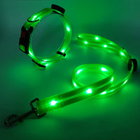 Glowing LED Dog Collar with Leash - NightBright-Yellow-State of Style