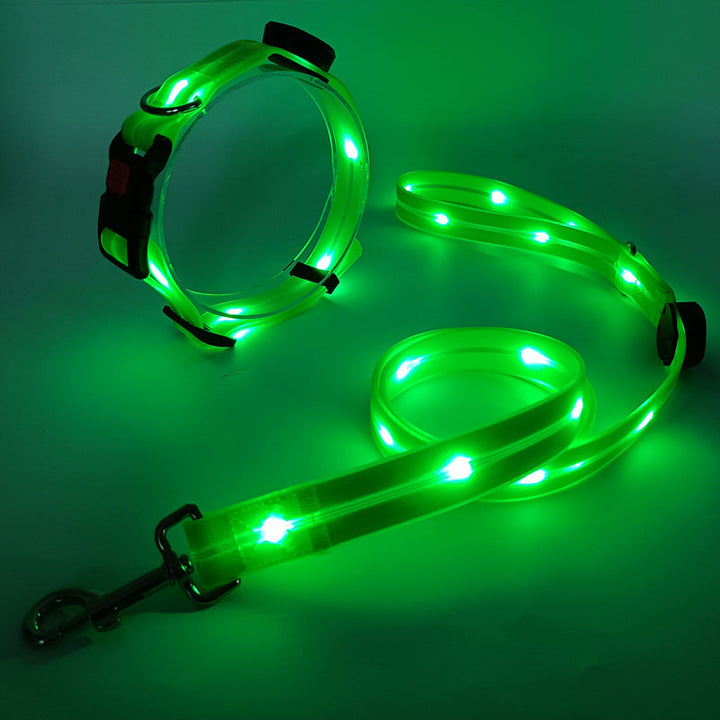 Glowing LED Dog Collar with Leash - NightBright-Yellow-State of Style