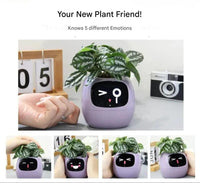 GreenBuddy SmartPot - Automatic Smart Planter-Green-State of Style