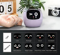 GreenBuddy SmartPot - Automatic Smart Planter-Green-State of Style