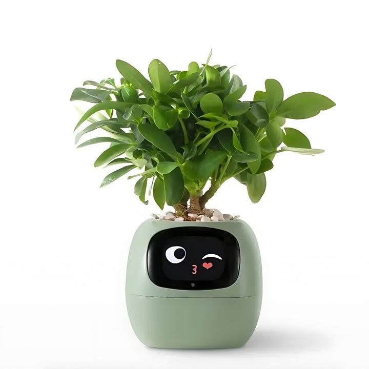 GreenBuddy SmartPot - Automatic Smart Planter-Green-State of Style