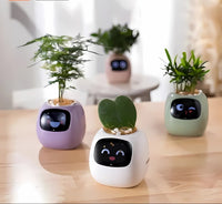 GreenBuddy SmartPot - Automatic Smart Planter-Green-State of Style