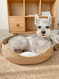 Handmade Comfortable Cat Bed - LuxeSnooze-S-Basket-State of Style