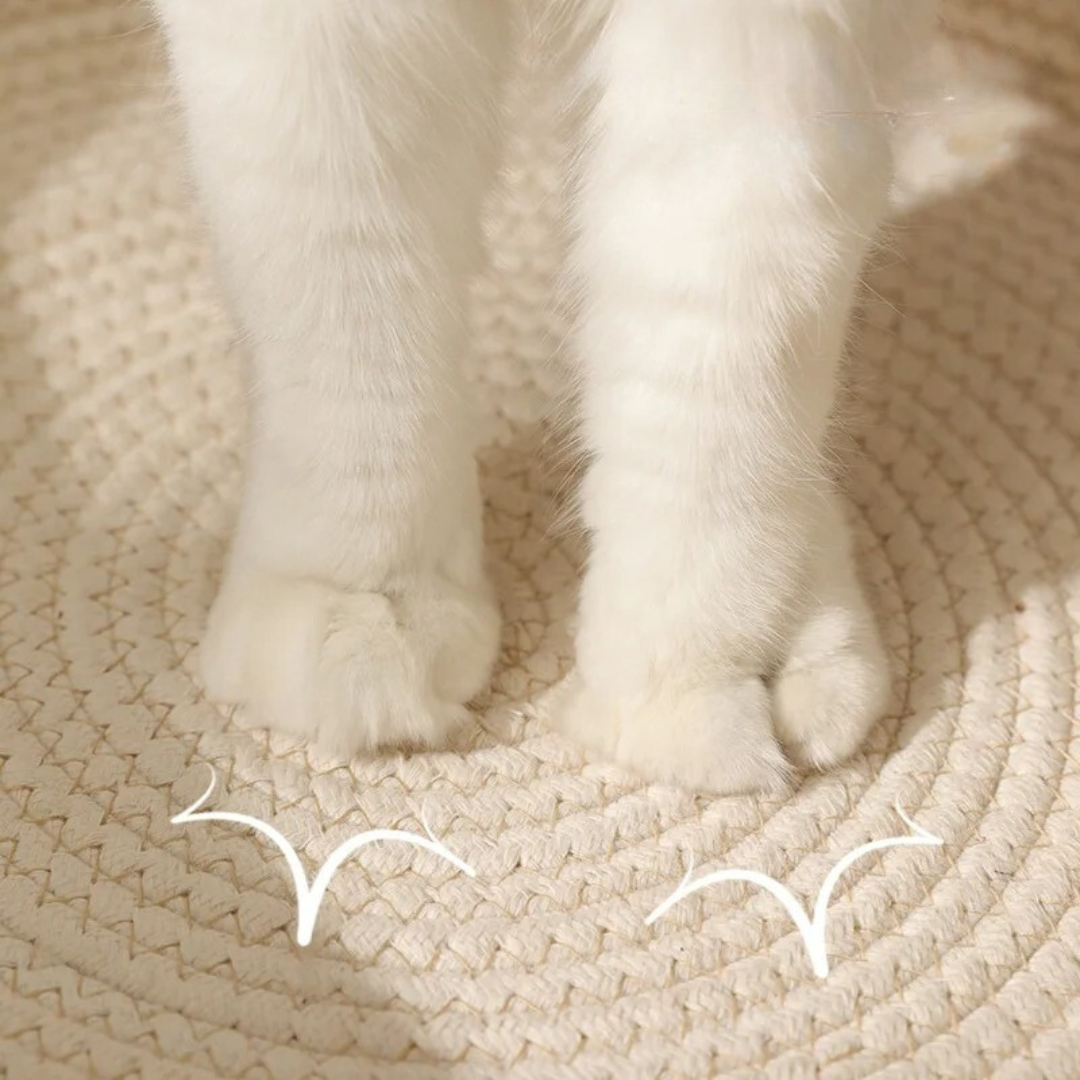 Handwoven Cotton Rope Bed for Cats - CozyNest-Khaki-S-State of Style