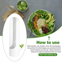Herb Storage Box - FreshKeep-State of Style