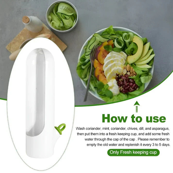 Herb Storage Box - FreshKeep-State of Style