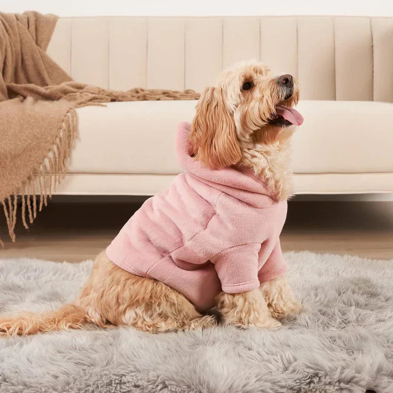 Hoodie Set for Owners and Their Dogs - PawMatch-Small Dog-State of Style