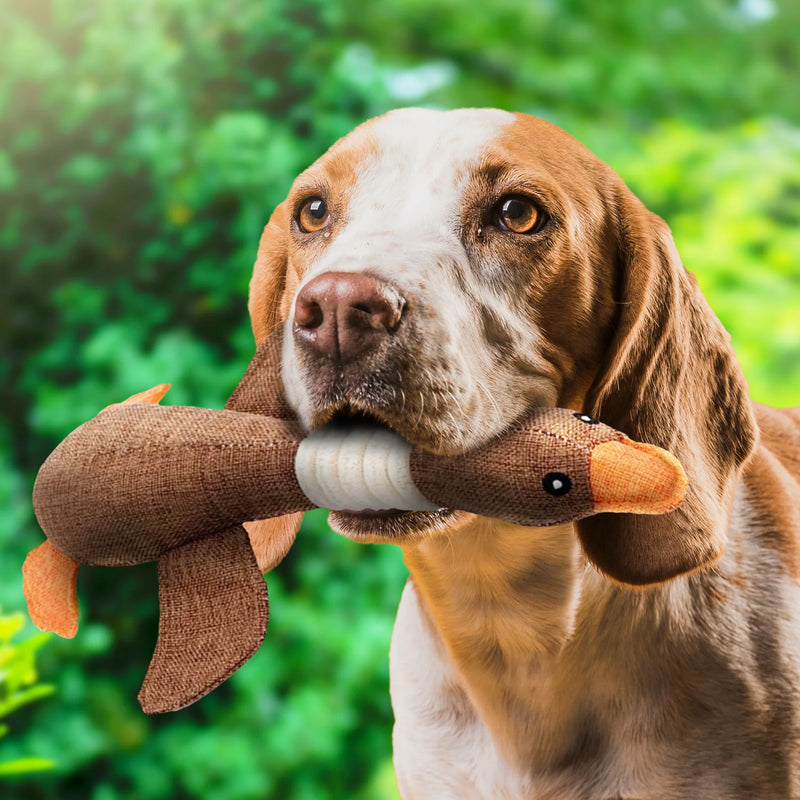 Indestructible Dog Toy (Buy 1, Get 1 FREE) - ToughGoose-Brown (2x)-State of Style