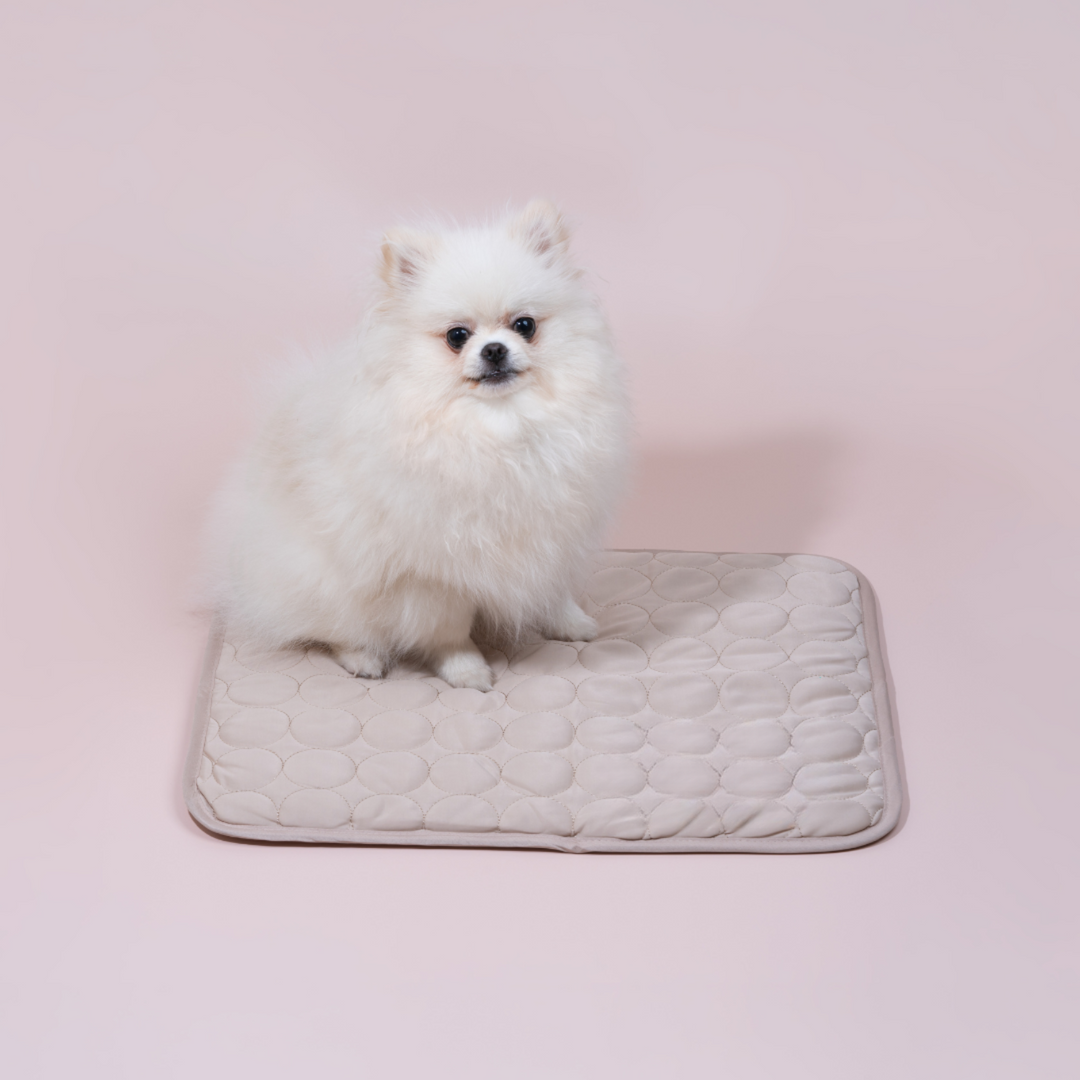 Innovative Cooling Mat for Dogs (4x Cooling Power) - ChillComfort-Beige/Brown-XS-State of Style