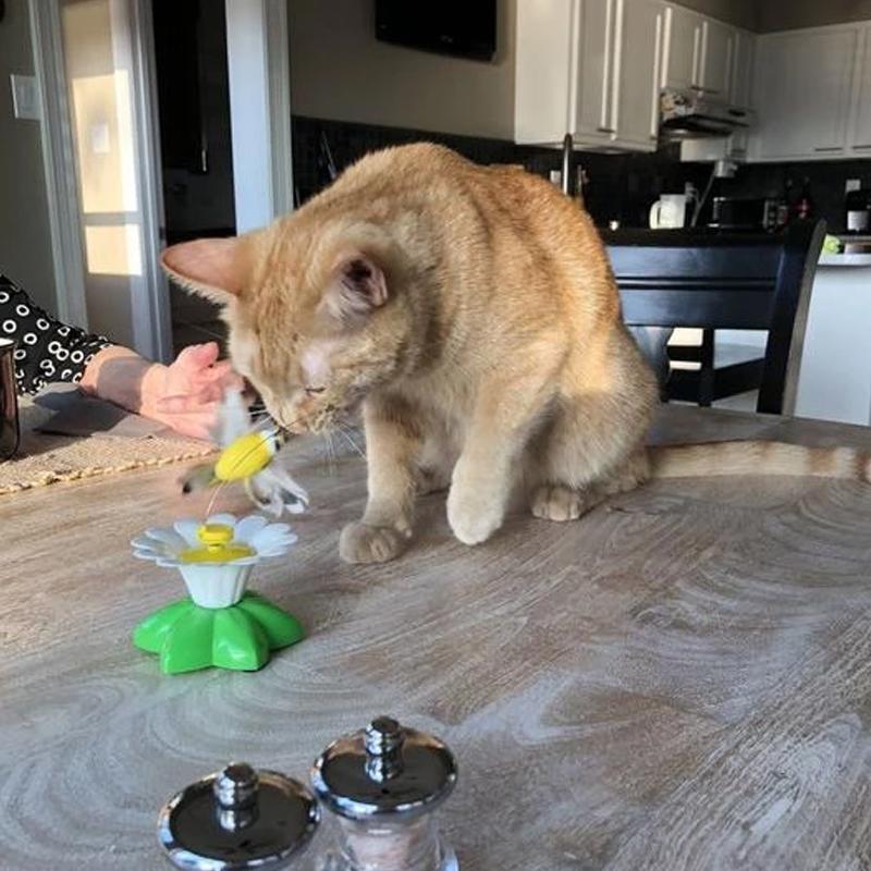 Interactive Bird Toy for Cats - Purrfect Play-Butterfly-State of Style