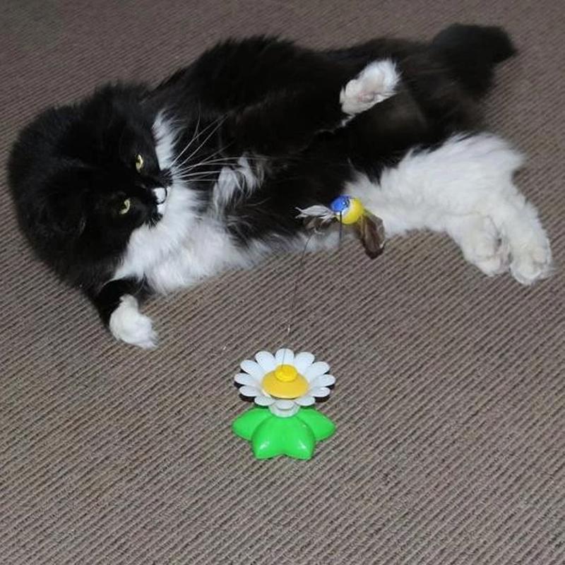 Interactive Bird Toy for Cats - Purrfect Play-Butterfly-State of Style