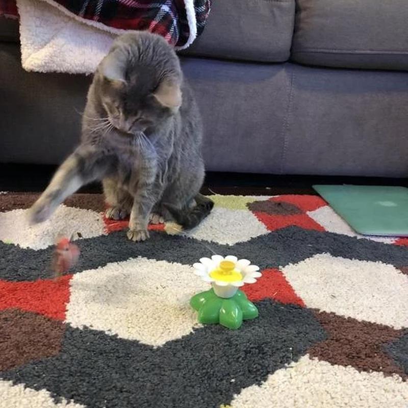 Interactive Bird Toy for Cats - Purrfect Play-Butterfly-State of Style