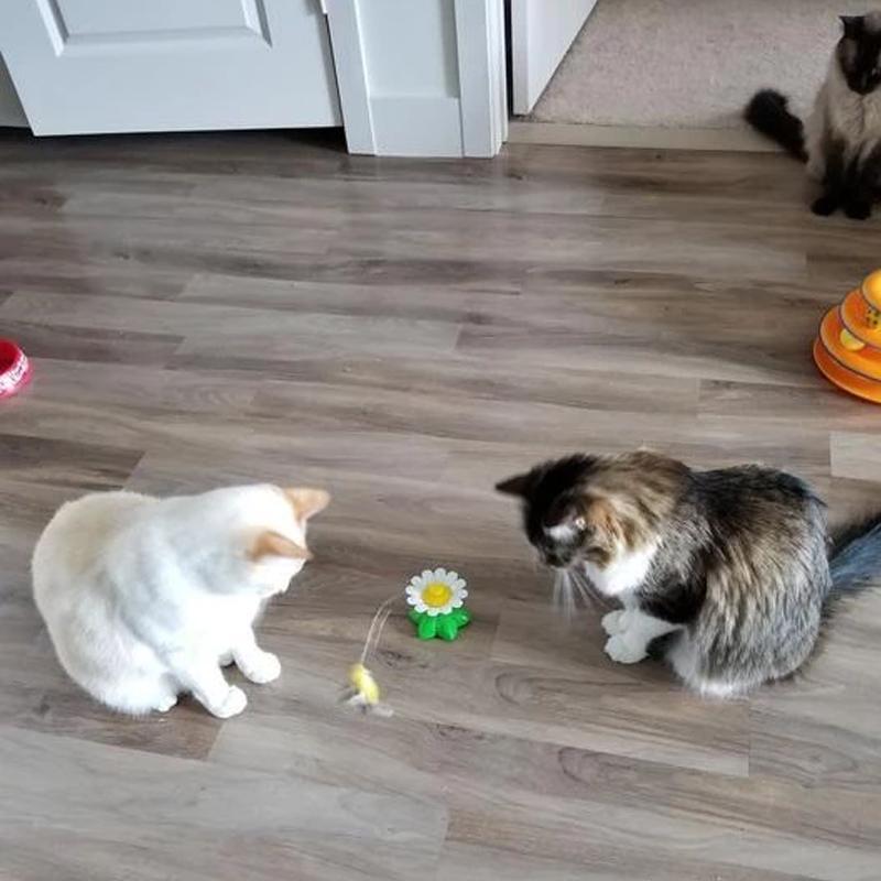 Interactive Bird Toy for Cats - Purrfect Play-Butterfly-State of Style