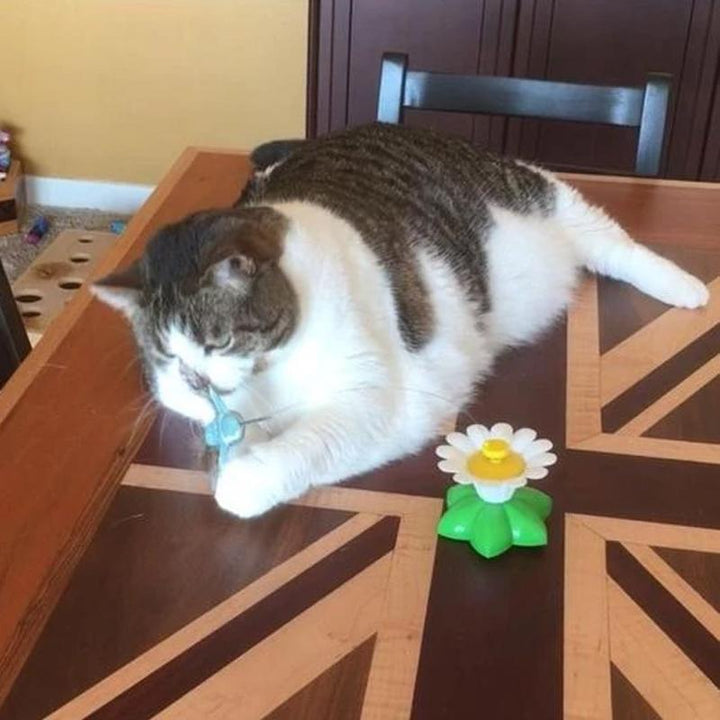 Interactive Bird Toy for Cats - Purrfect Play-Butterfly-State of Style