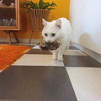 Interactive Cat Toy - ChirpBird-Little bird-State of Style
