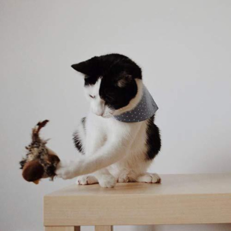 Interactive Cat Toy - ChirpBird-Little bird-State of Style