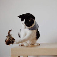 Interactive Cat Toy - ChirpBird-Little bird-State of Style