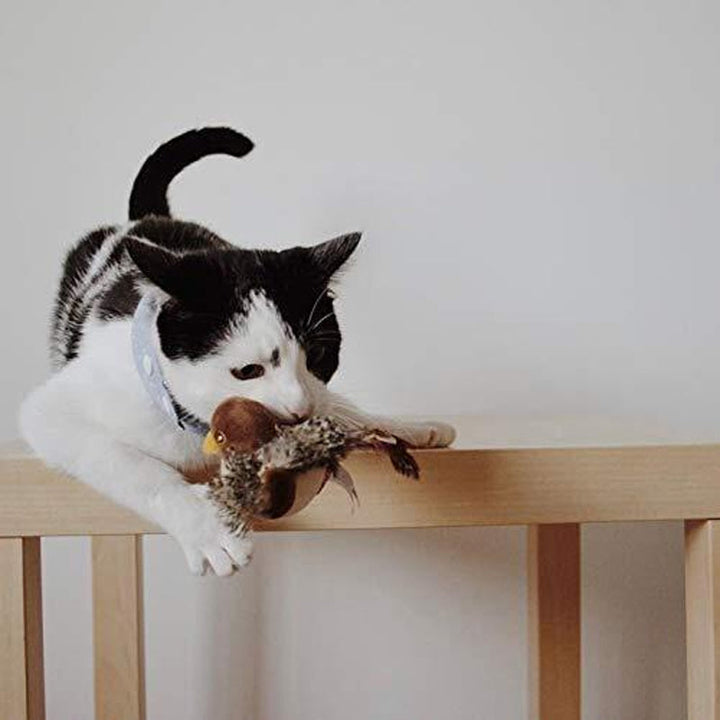 Interactive Cat Toy - ChirpBird-Little bird-State of Style